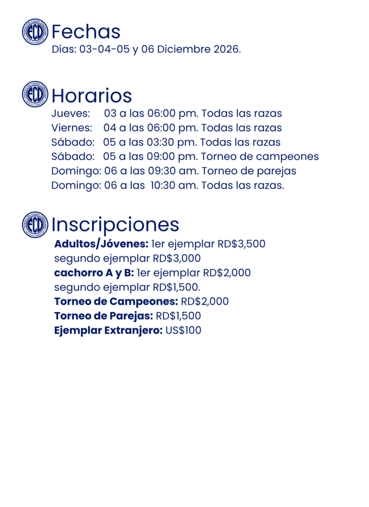 Fecha actualizada